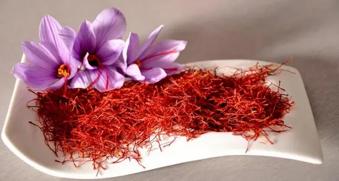 تصویر 1 از زعفران نگین سحر خیز با رشته‌ های درشت و قرمز خالص